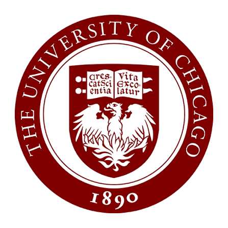 FEA & CFD Consultancy 21 chicago logo